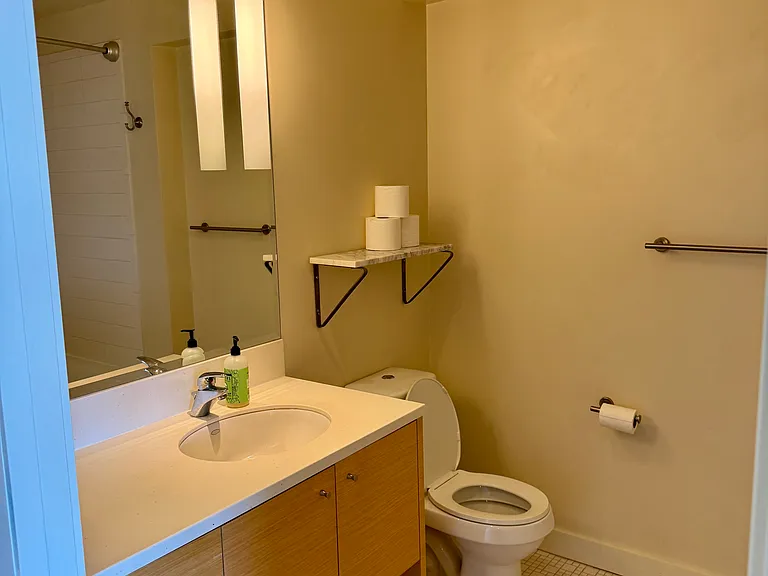 Contemporary full bathroom featuring clean lines, modern fixtures, and generous storage.