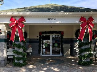 29025 Landbridge St, Wesley Chapel, FL 33543