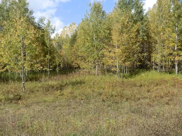 On Amber Lake Road W 760 #Mi-10, Minocqua, WI 54548