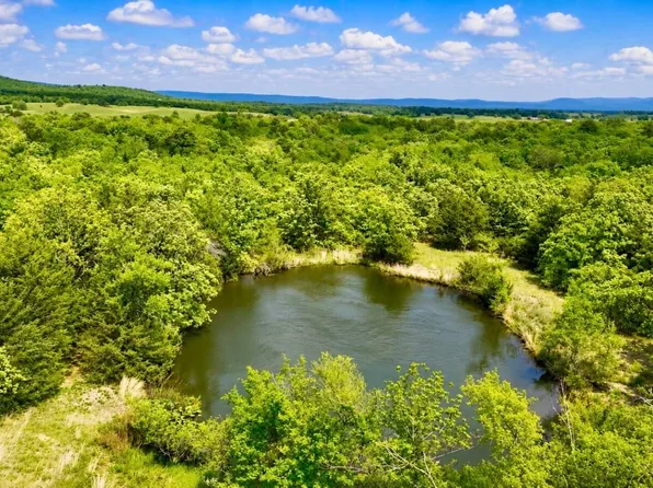 45 N 4450th Rd, Albion, OK 74521