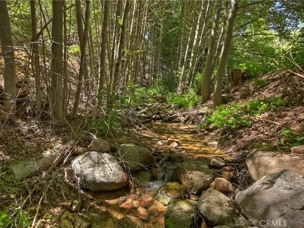 29649 Hook Creek Rd #16, Cedar Glen, CA 92321