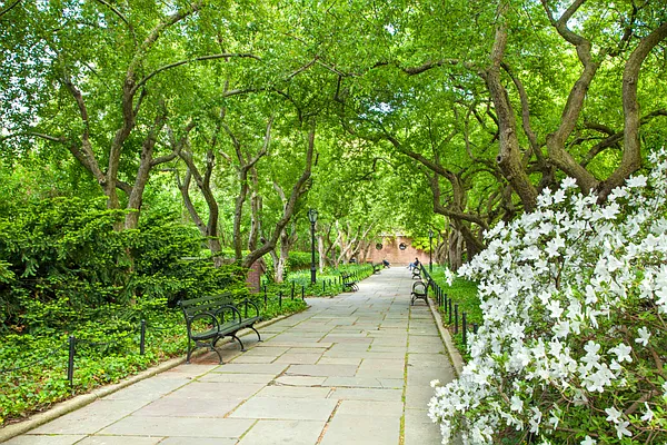 Rented by Compass | media 24