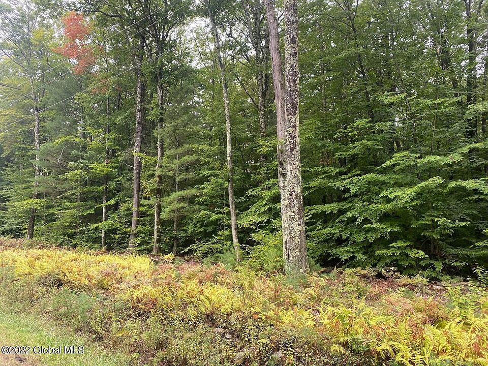 L21010 Babcock Lake Rd, Petersburg, NY 12138 MLS 202230033 Zillow