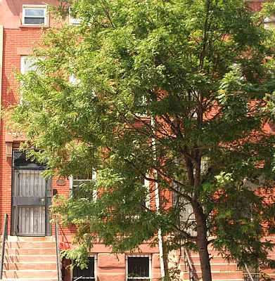 Rented by aptsandlofts.com | media 24