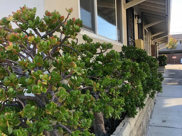 1733 Noranda Dr APT 1, Sunnyvale, CA 94087