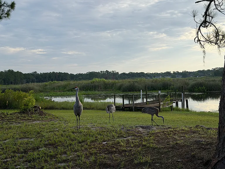 384 Terry Ln — Photo 8