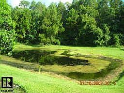 Pond and Backyard