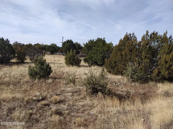 8509 Silver Creek Dr, Show Low, AZ 85901