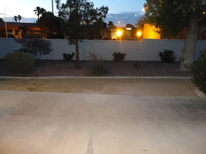 Backyard View