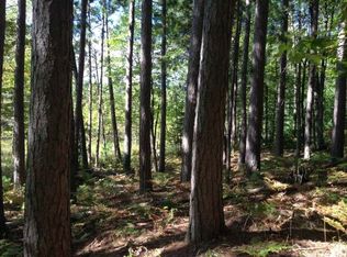 40 Ac. Pine Lake Rd, Rhinelander, WI 54501