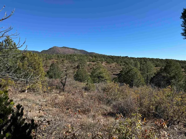 5 Kipling Dr #5, Timberon, NM 88350