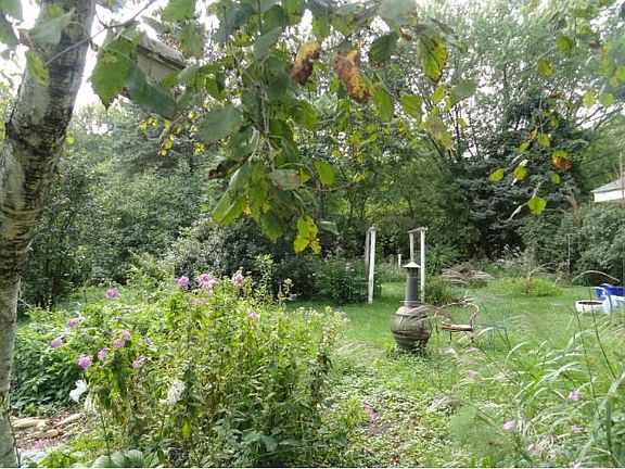 Come home to enjoy your private back yard with many trees, shrubs and plants!