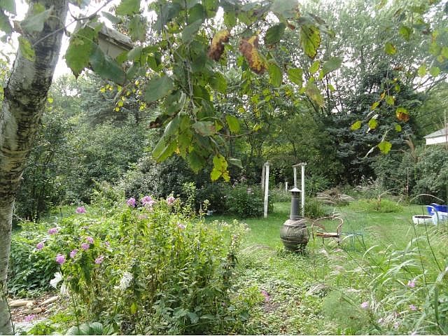 Come home to enjoy your private back yard with many trees, shrubs and plants!