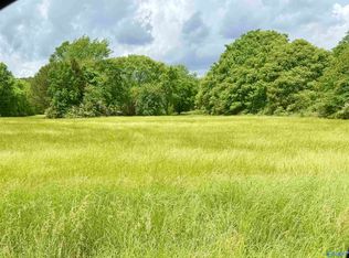 79 Mount Lebanon Rd, Toney, AL 35773