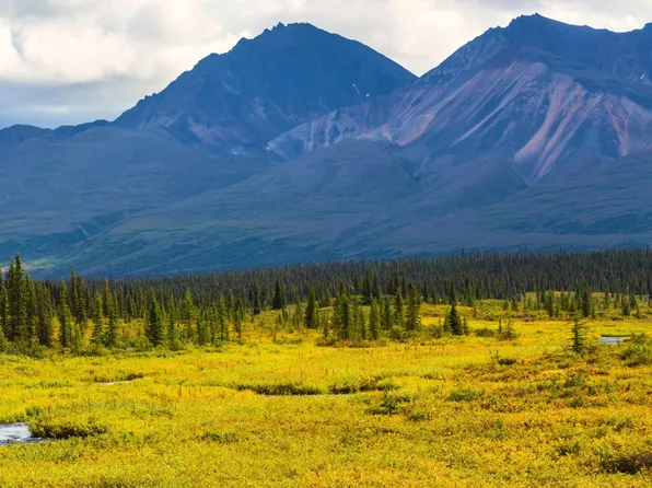 0 Salcha Dr, Salcha, AK 99714