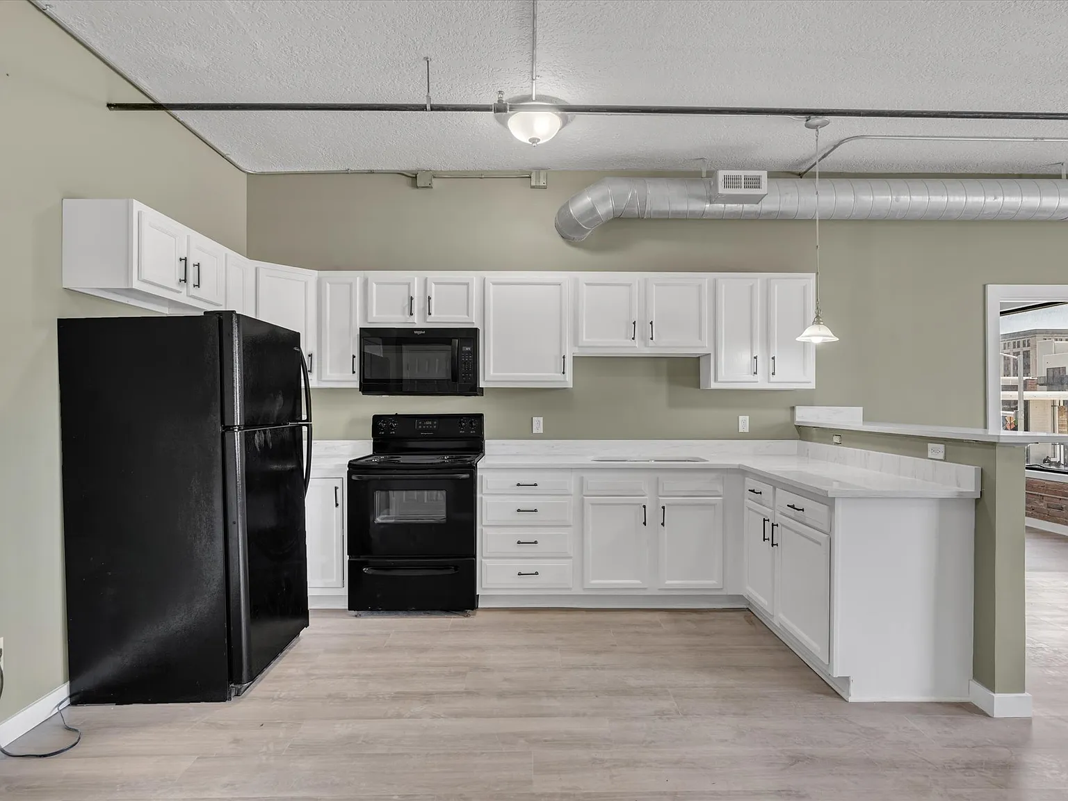 1 bed, 850 sqft, $1,100 — Photo 3