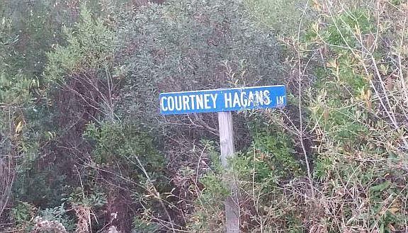 3rd image of 2201 Courtney Hagans Ln