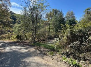 3688 Indian Camp Run Rd, Kimbolton, OH 43749