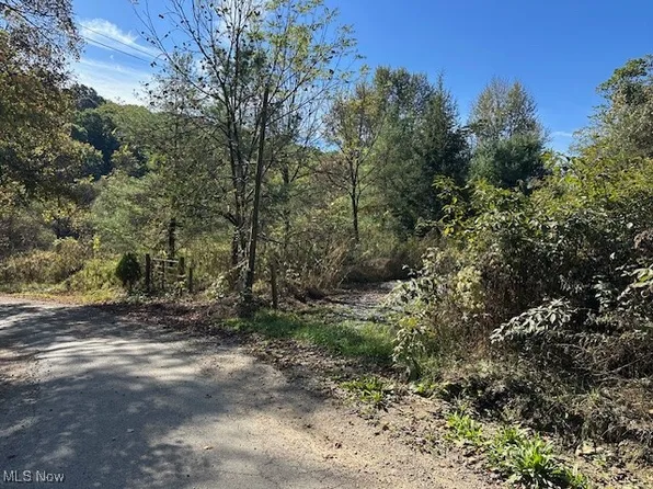 3688 Indian Camp Run Rd, Kimbolton, OH 43749