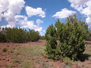 County Rd, Concho, AZ 85924
