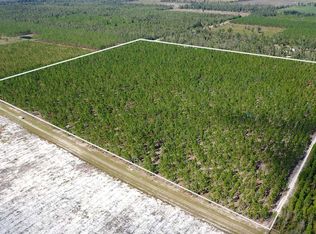 Tbd Se Pebble Ridge St, Lee, FL 32059