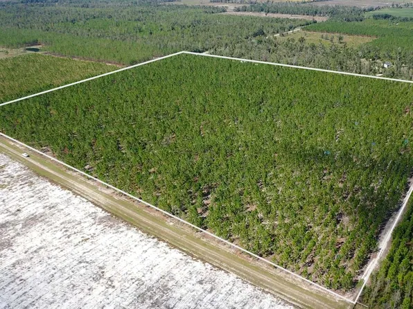 Tbd Se Pebble Ridge St, Lee, FL 32059