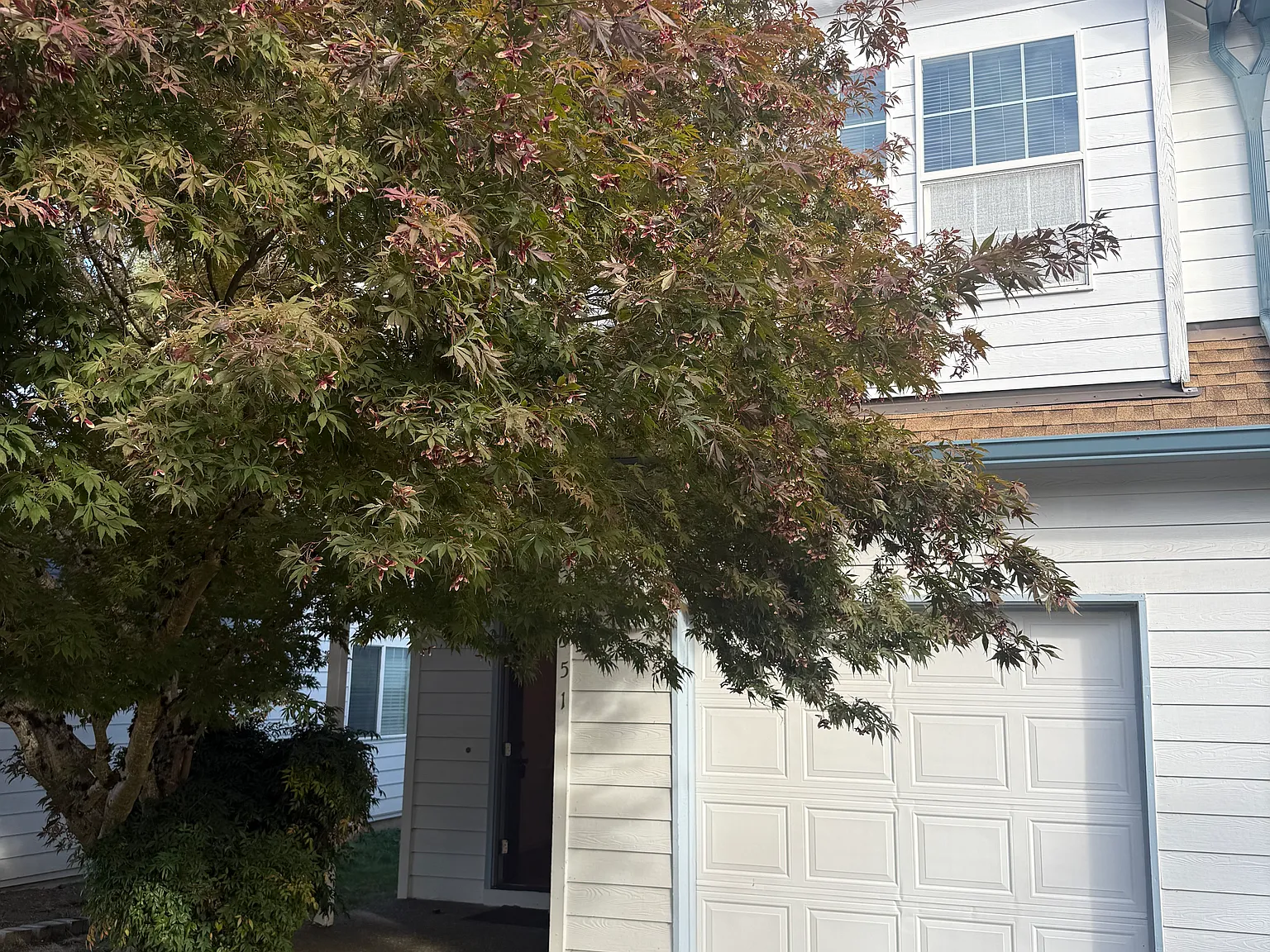 3 bed, 2.5 bath, 1434 sqft, $2,495 — Photo 1