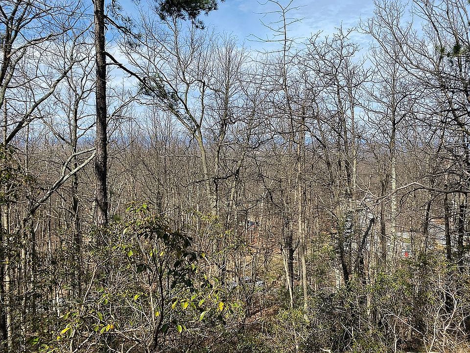 1st image of Black Bear Trl