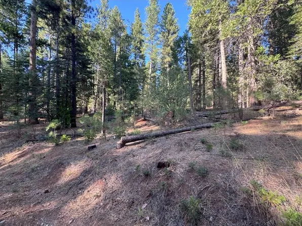 20472 Pine Dr E, Pioneer, CA 95666