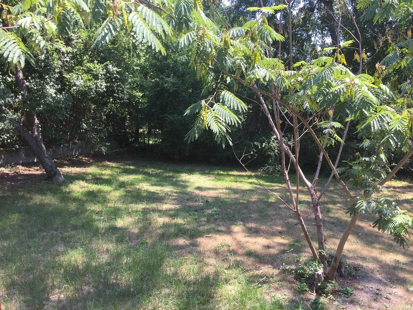 East Columbus 3 Bedroom / 1 Bathroom House for Rent — Photo 3