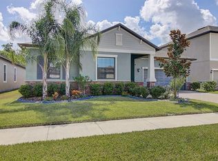 13444 White Sapphire Rd, Riverview, FL 33579