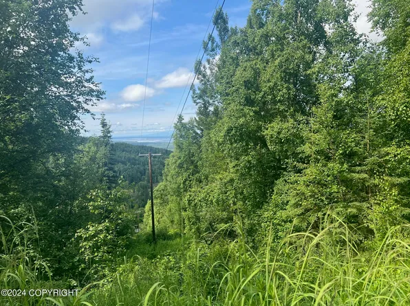 18412 Mountain Rd, Chugiak, AK 99567