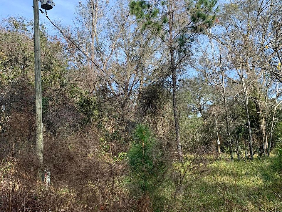 1st image of 38350 Ilex Trl