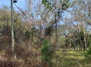 38350 Ilex Trl, Eustis, FL 32736