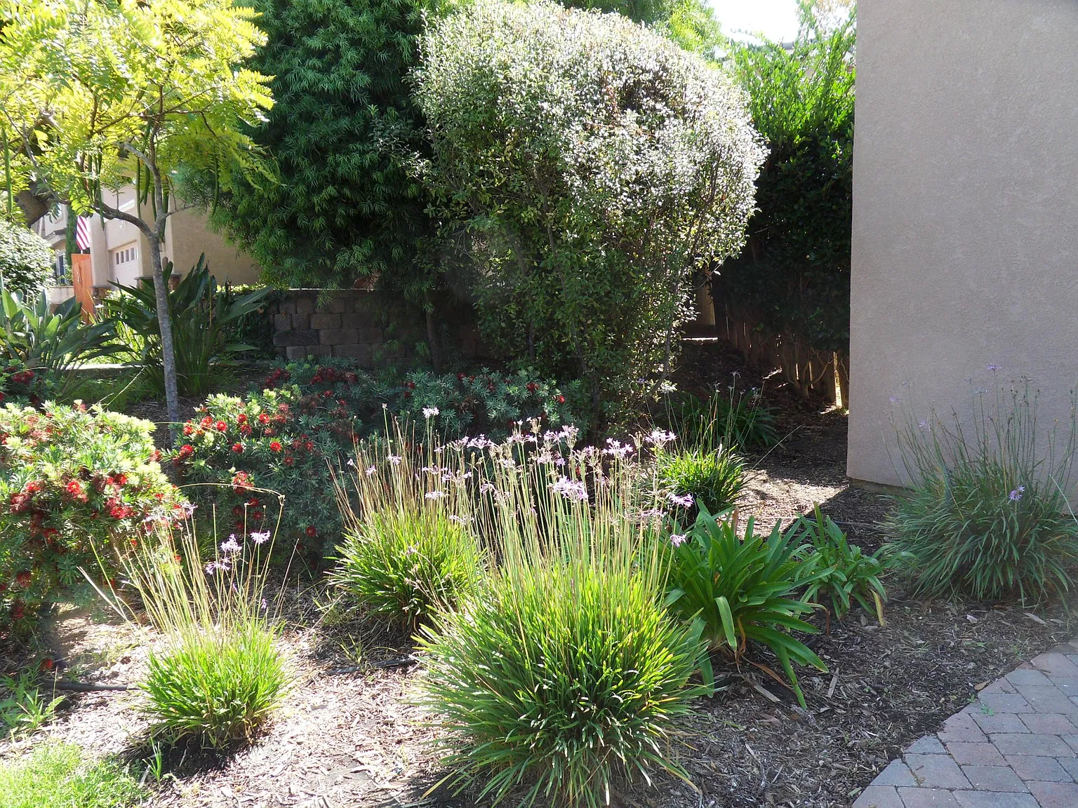 4 bed, 2.5 bath, $6,300 — Photo 2
