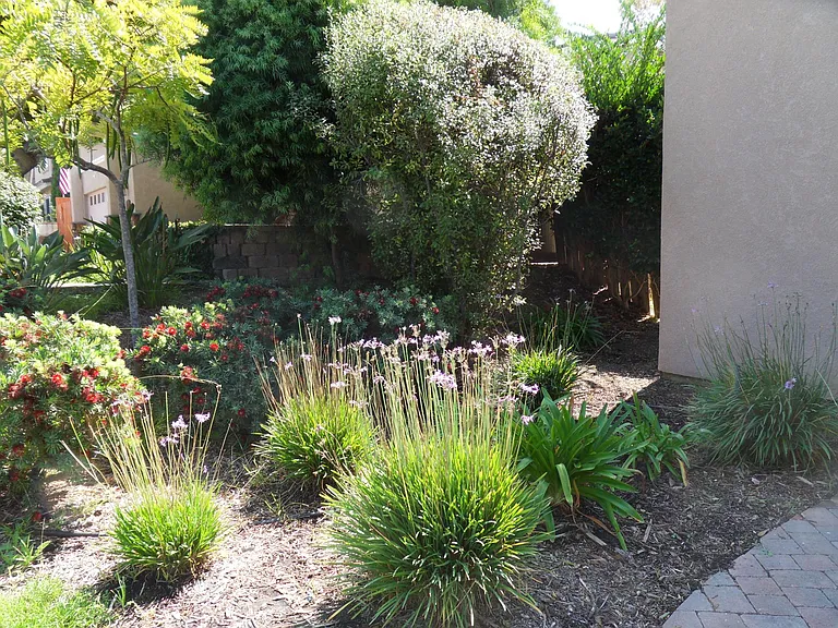 1439 Valleda Ln — Photo 2
