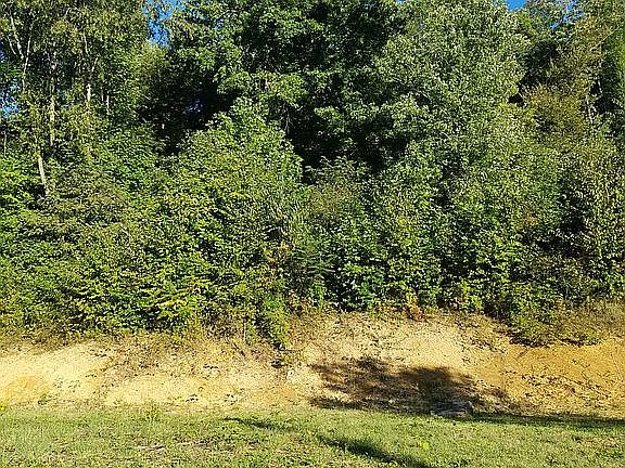 3rd image of 402 Charley Ave