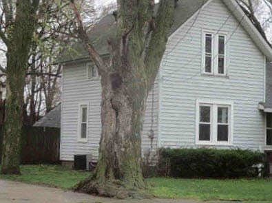 3rd image of 403 E Orleans St