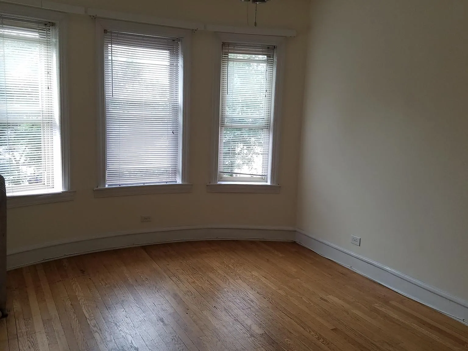 1 bed, $1,100 — Photo 4