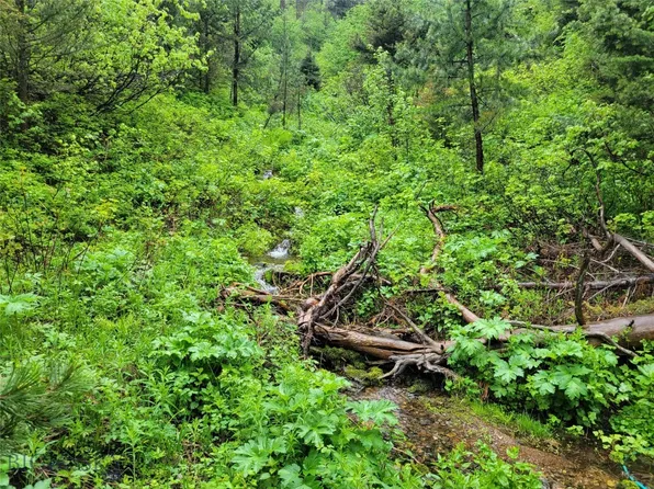 LOT 13 Charley Rd, Wolf Creek, MT 59648