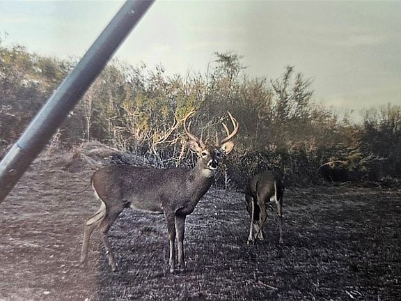 4th image of 2346 Frontier Rd #1