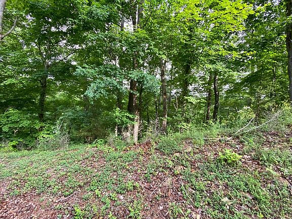2nd image of 53 Wingspan Dr Lot 53