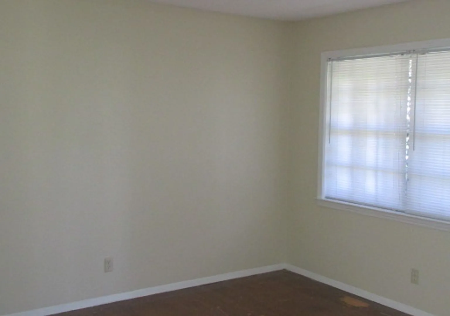 Welcome to 4372 Deerland Street! — Photo 2