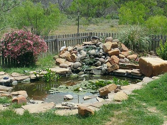 Beautiful, relaxing pond