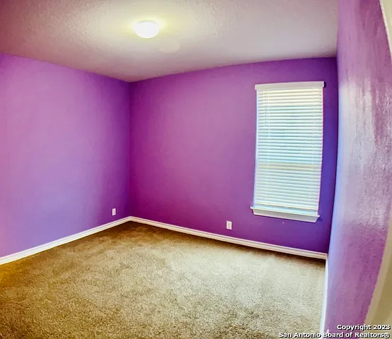 8732 Riddles Peak — Photo 12