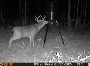 N County Road 67, Clopton, AL 36317