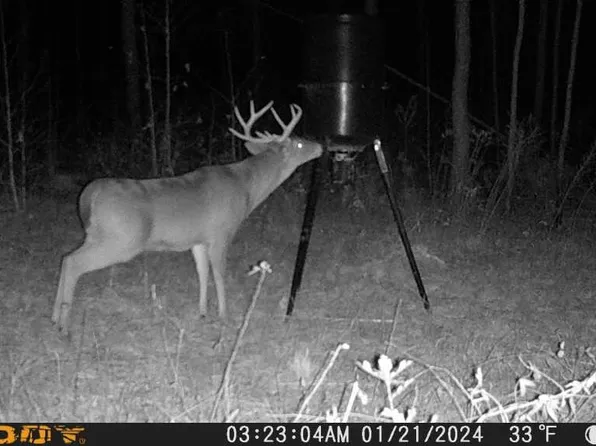 N County Road 67, Clopton, AL 36317