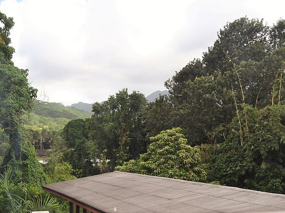 View #2 from the Living Room