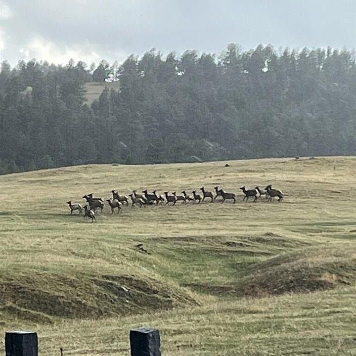 1st image of Missile Rd