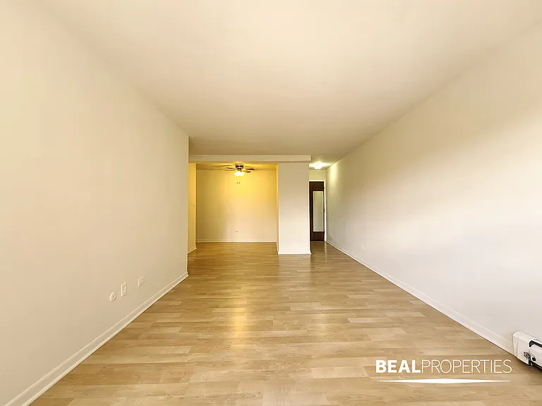 445 W Barry — Photo 102
